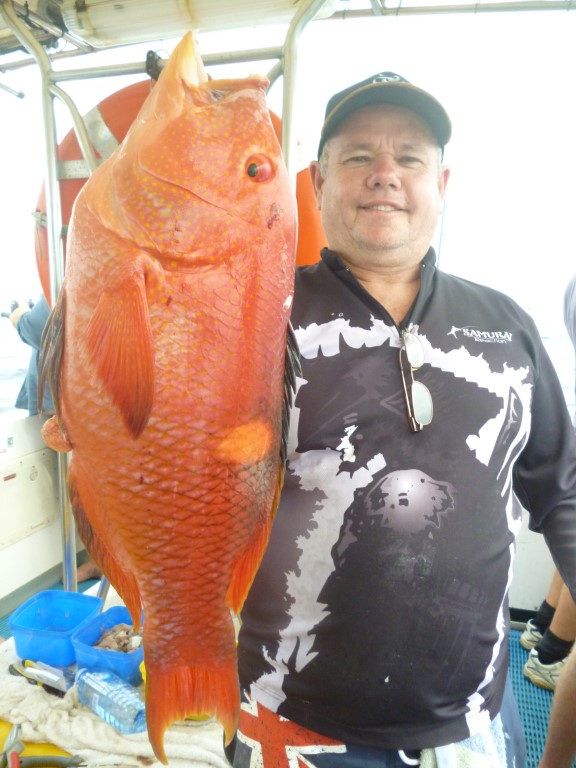 Tony from Calliope with big gold spot wrasse