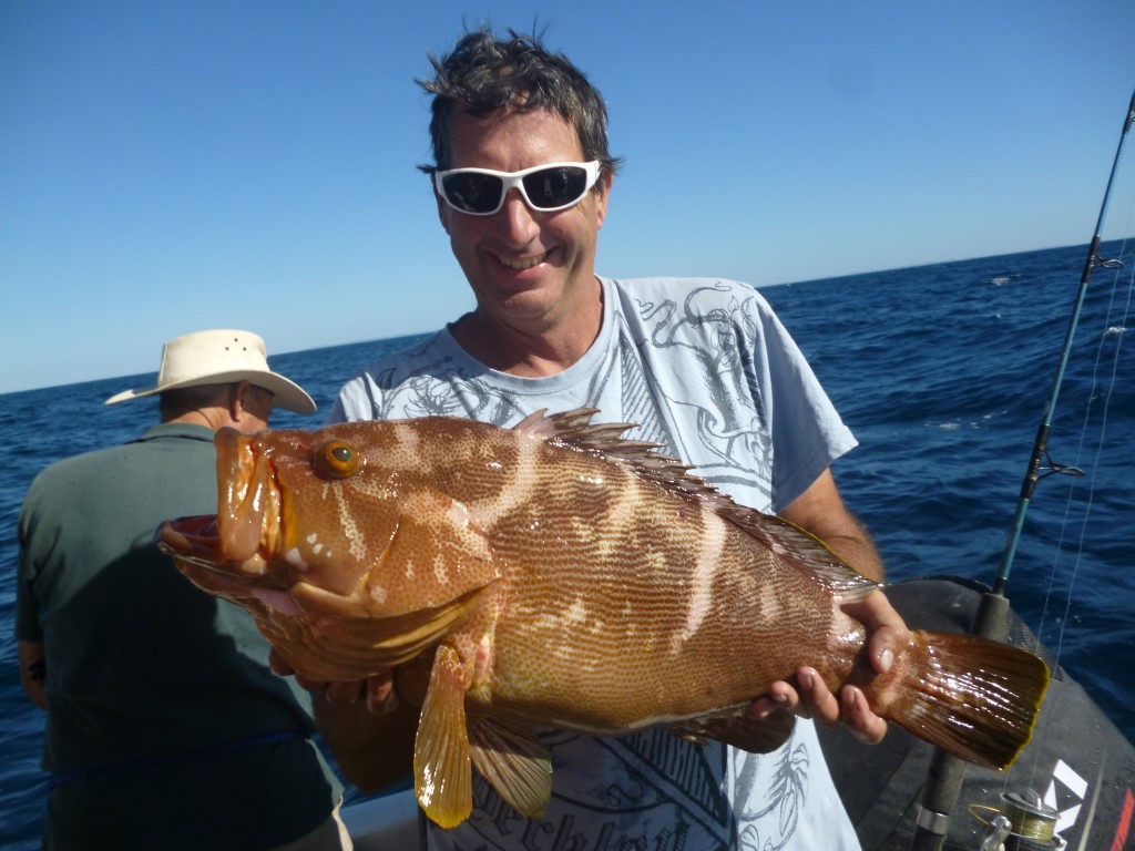 Jude Van de Maal from Gympie with big Maori Cod