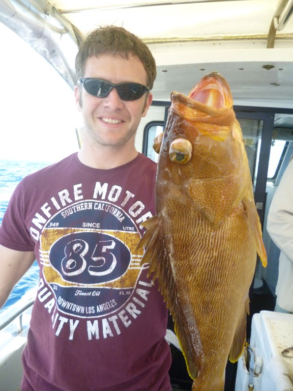 Local worker Ian with a nice Maori Cod