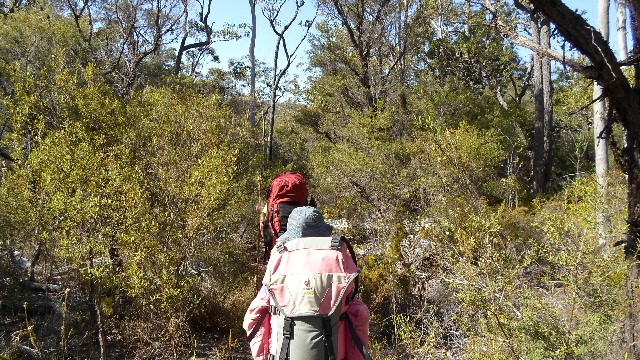 Bushfire review - Image Ellie Boak