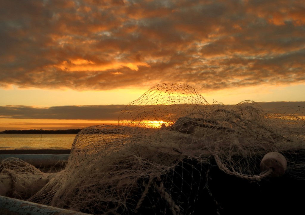 A Grade Highly Commended Fishnet Sunrise was snapped by Cathy Reed