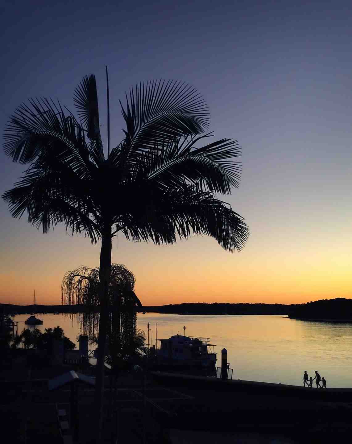 The Camera Clubs photo of the month by Julie Hartwig titled Snapper Creek Sunset using Snapseed