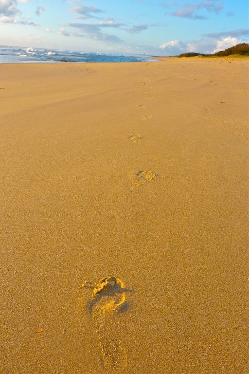 Kerry Leyland's Lone Footsteps was awarded an A Grade Merit