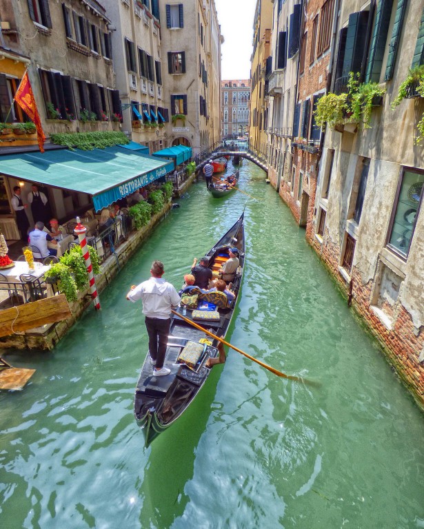 Peter Cahill - The Gondolier - B Grade Honour