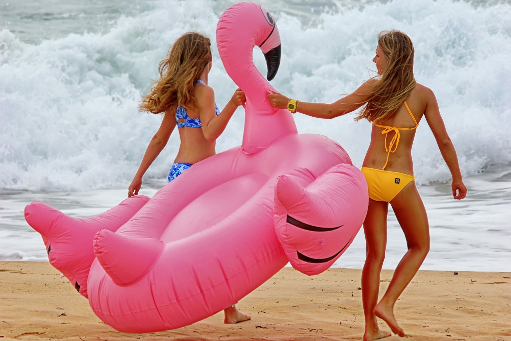 Patsy Brady Flamingo Fun