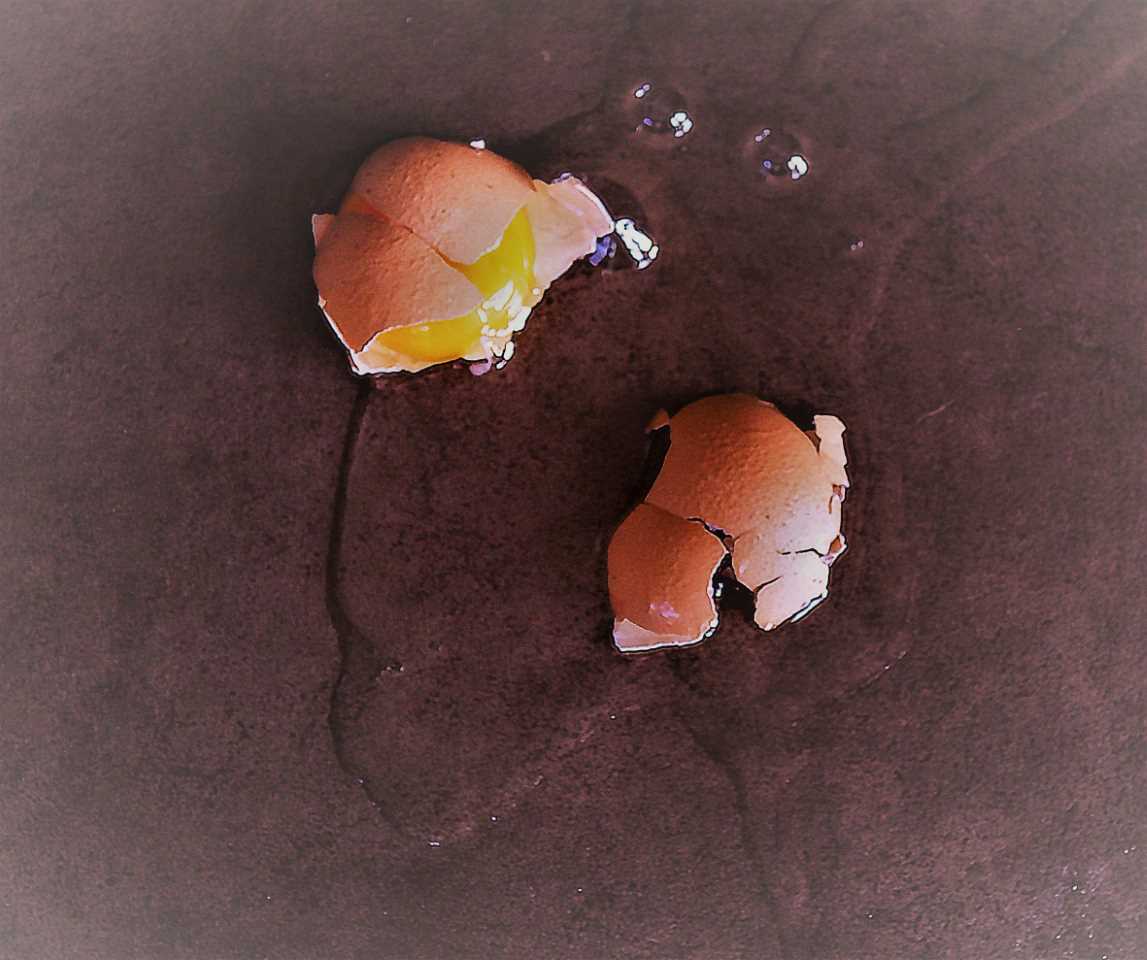 Jacquie Cross - Damn & Blast June 2019 Broken B Grade Honour