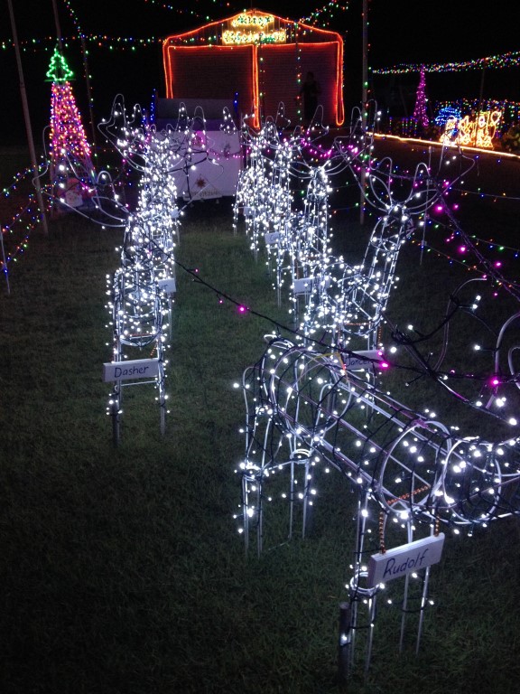 Christmas cheer 2 Lights dec 14