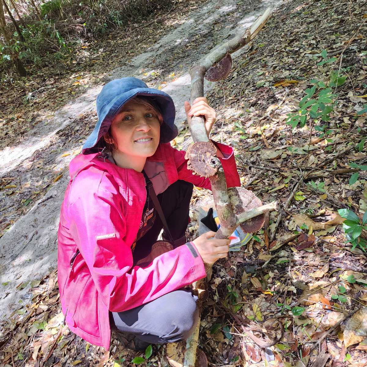 Cooloola BioBlitz 2022 - Dr Sandra Tuszynska, fungi expert, found many large specimens.