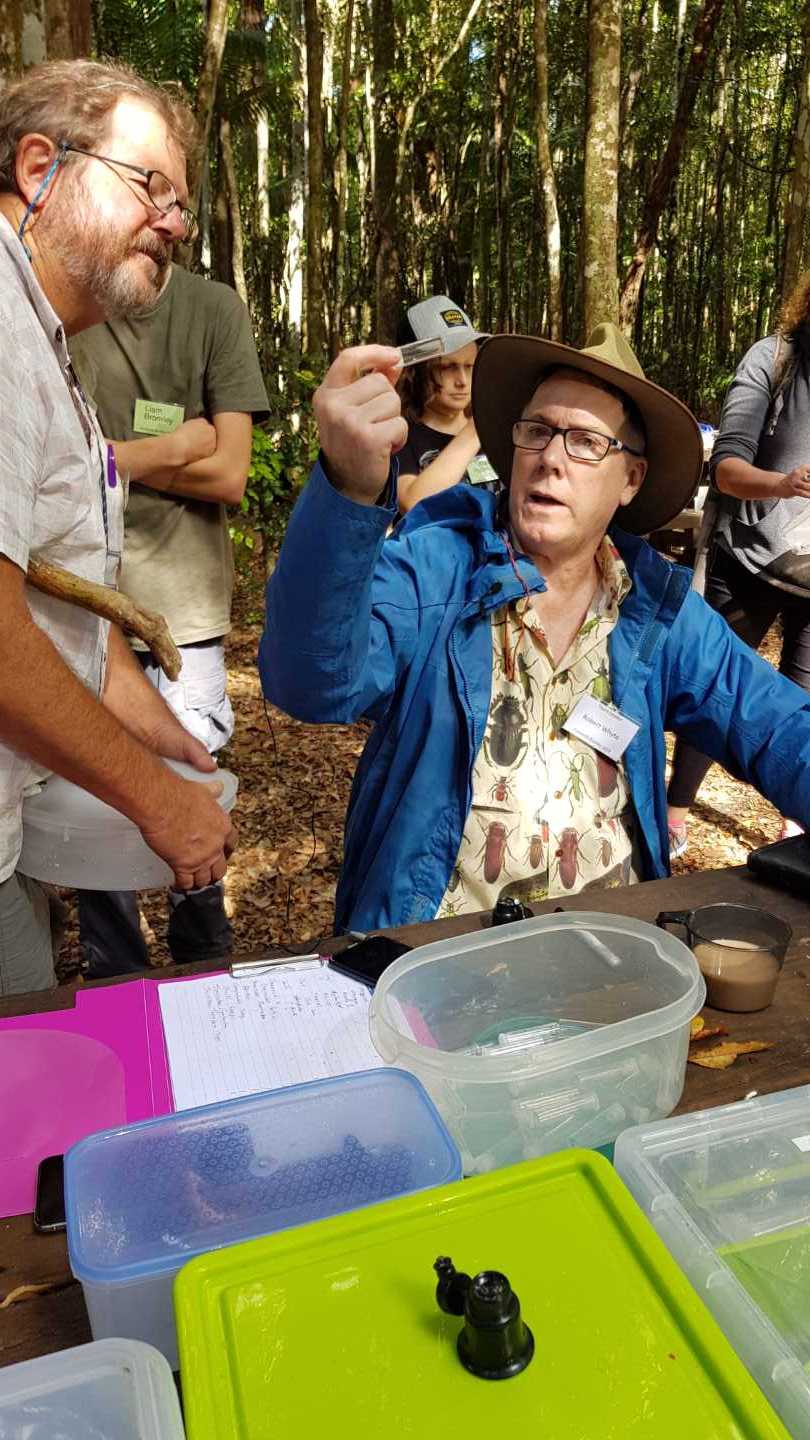 Robert Whyte identifies a tiny spider at Bymien picnic area during the 2019 Cooloola BioBlitz. Photo, Linda Tabe