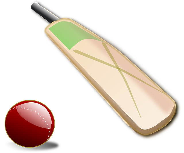 Cricket Corner - Centurion Simmo
