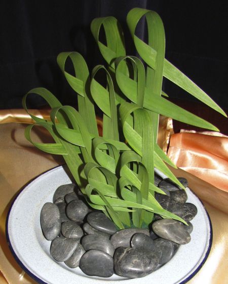 Horties hit 70 and celebrate with great prizes! Gympie Garden Expo