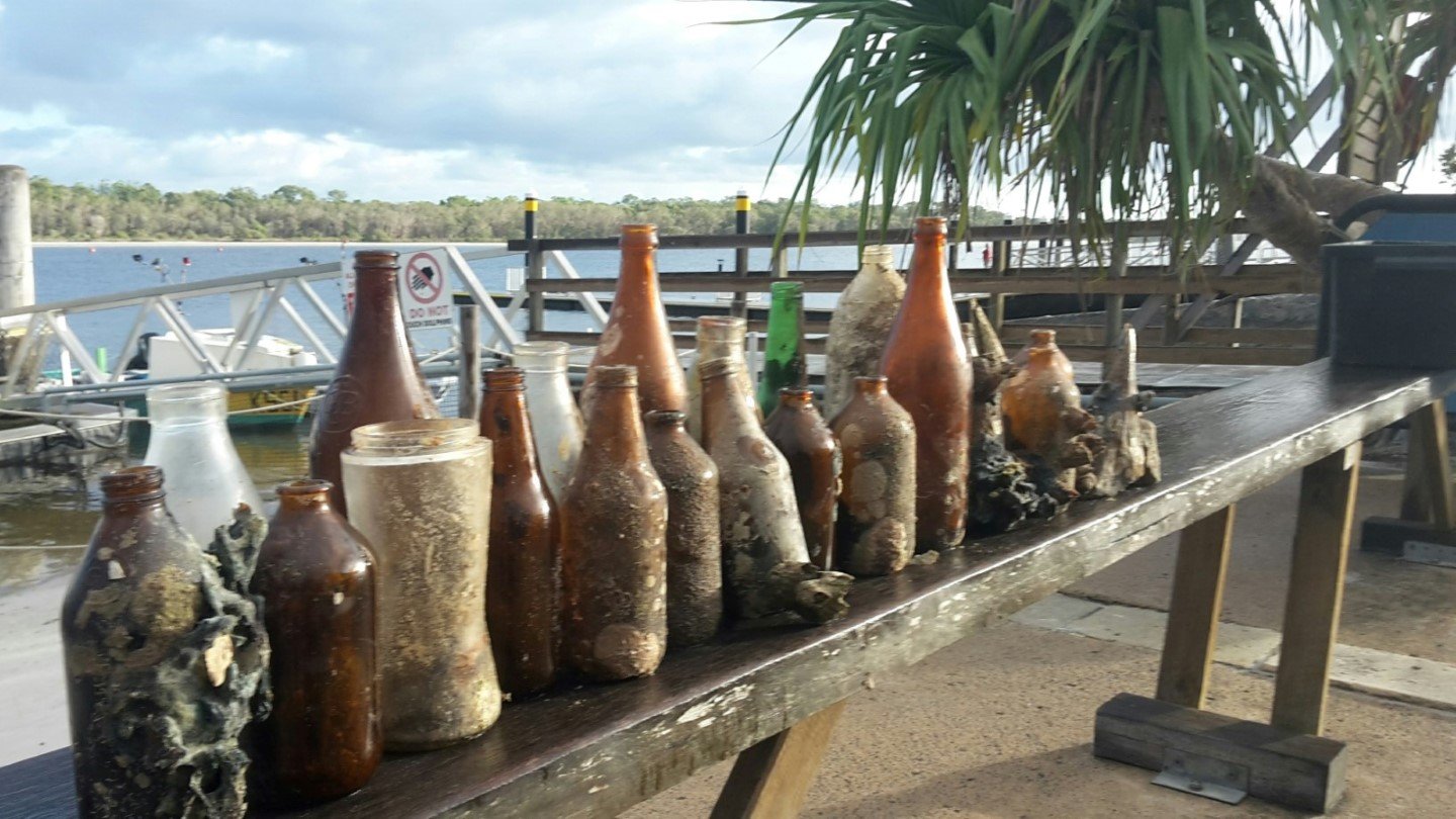 Dolphin Report - Mystique has been busy cleaning up the creek at Tin Can Bay - some of his haul