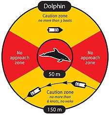 Don't Feed Dolphins
