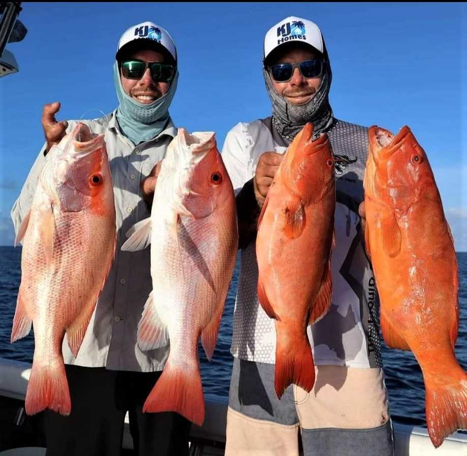Gafa Twins - Don't Feed Dolphins 