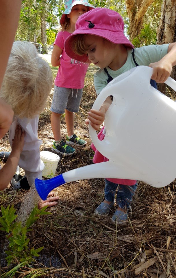 Little eco warriors revegetate and explore the Tin Can Bay foreshore reserve