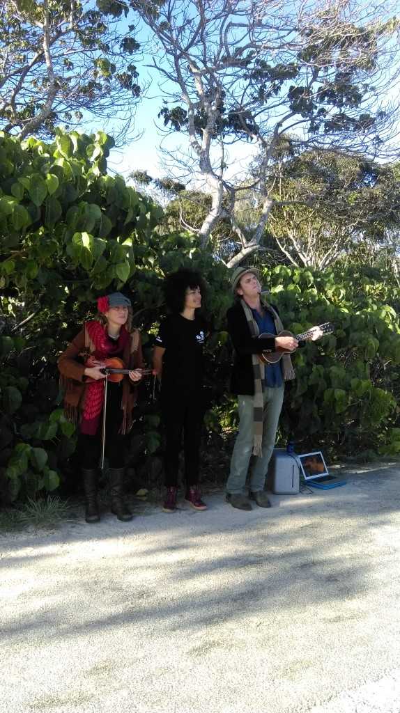 The Freedom Collective