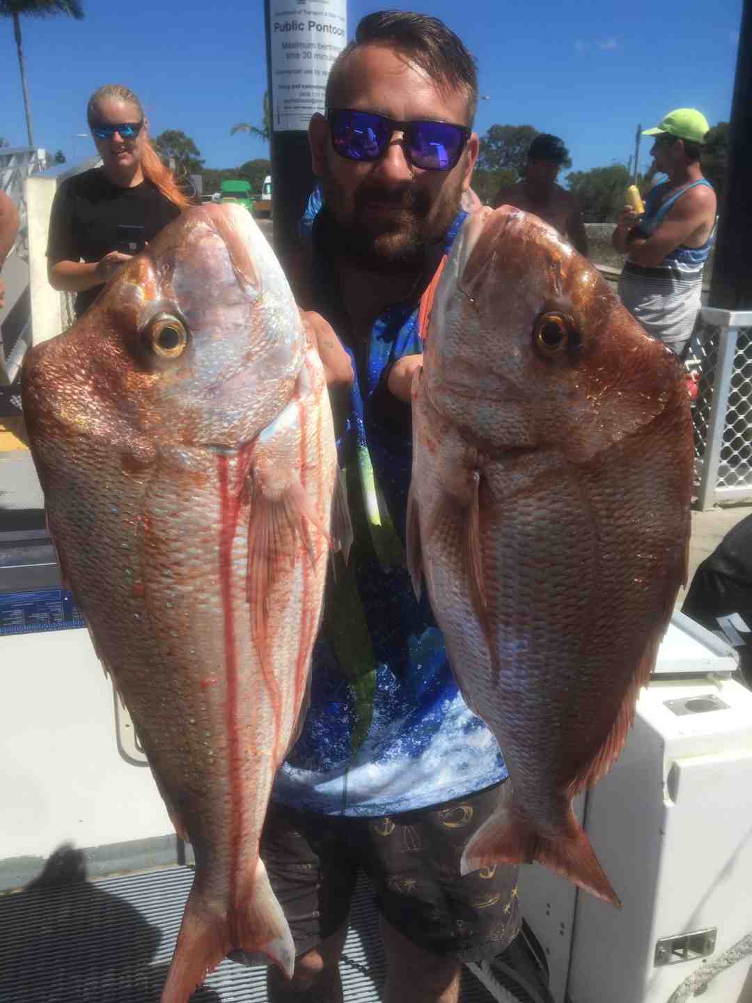 Another bag out day on quality Snapper for Baitrunner