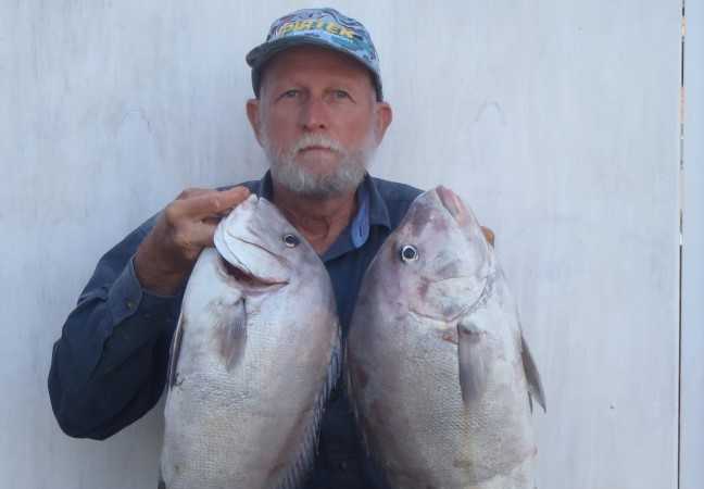 Ron Cox with a couple of big slatey bream that he caught recently in local inside waters