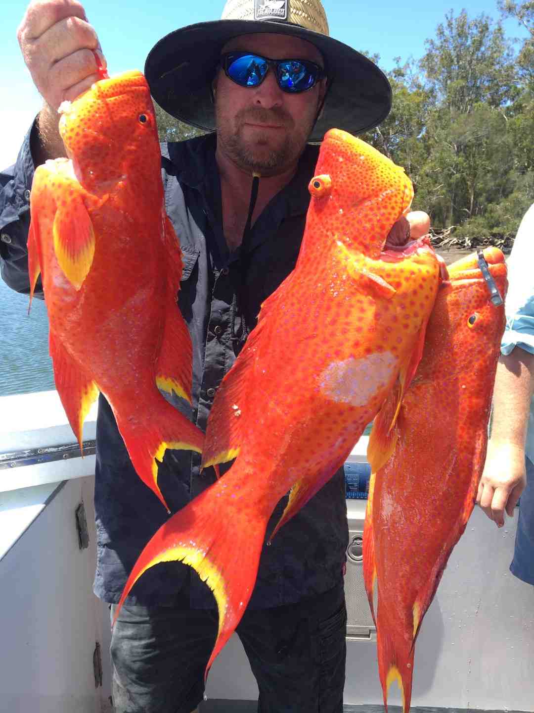 Bribie island regular Bau added these trout to his mixed bag which also included a nice Red Emperor