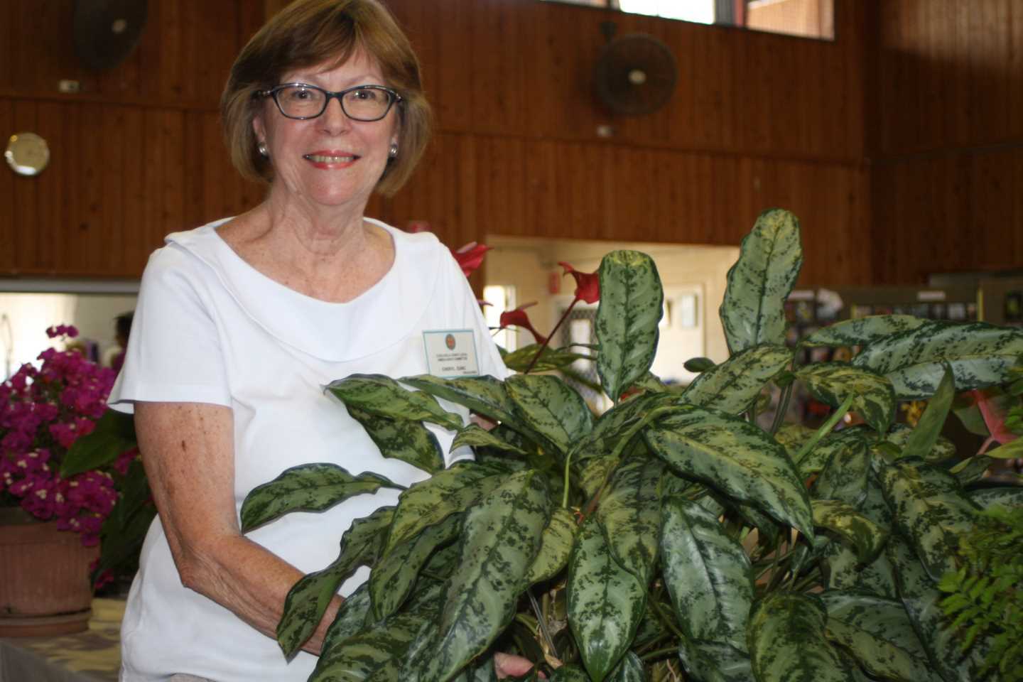 Cheryl Zunic encourages everyone to put in an entry or come along to the annual Flower Show that supports our local Ambulance services