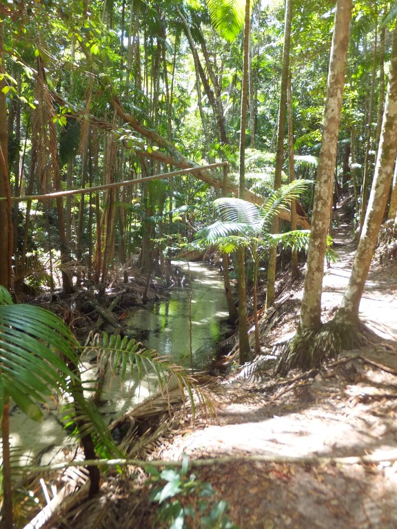 Native title rights recognised on Fraser Island