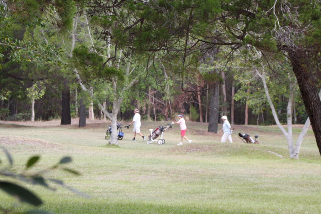 A summer of golf