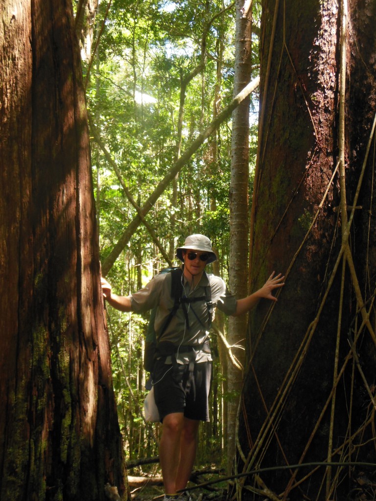 The extensive walking track system winds through rainforest, tall eucalypt forest, dry coastal woodland and heath plains
