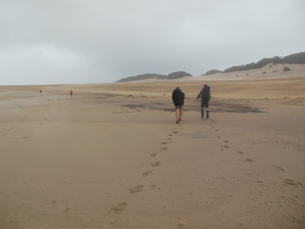 The ups and downs of a Cooloola Great Walk adventure