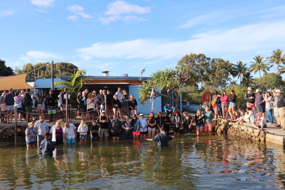Feed wild dolphins every morning from 7am at Barnacles Dolphin Centre, Tin Can Bay