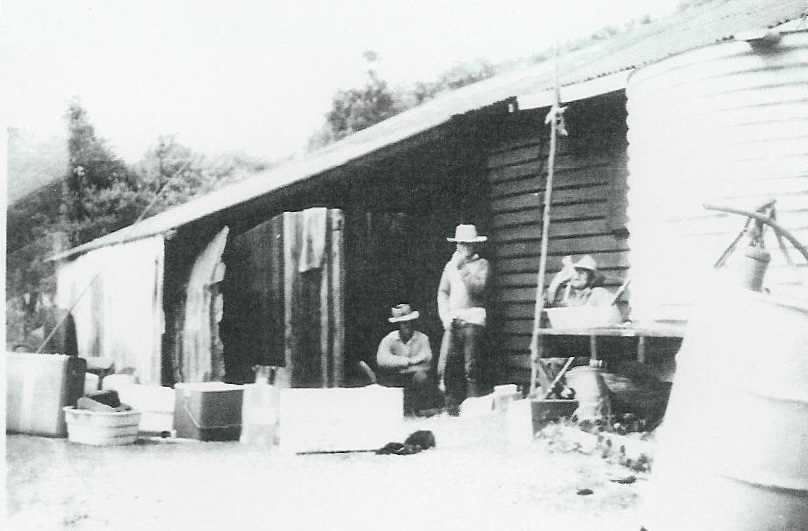 Sunny Chaplains ice shed at double Island Point – Mid 1960’s