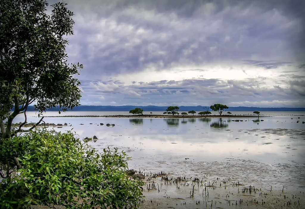 Poona Bay -  Julie Hartwig Photography