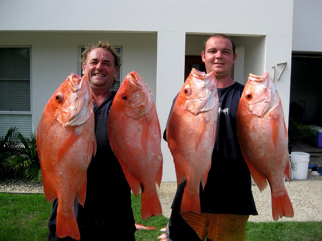 Ed and Brandan with some cracker scarlet perch Ed and Brandan with some cracker scarlet perch