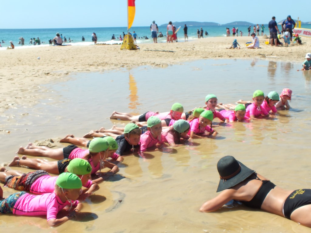 Warriors Swim Club News