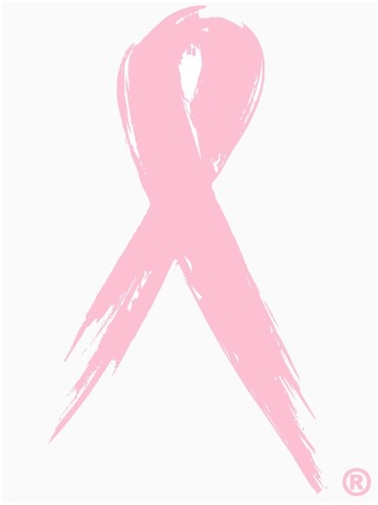 Pink Ladies Lunch on hold