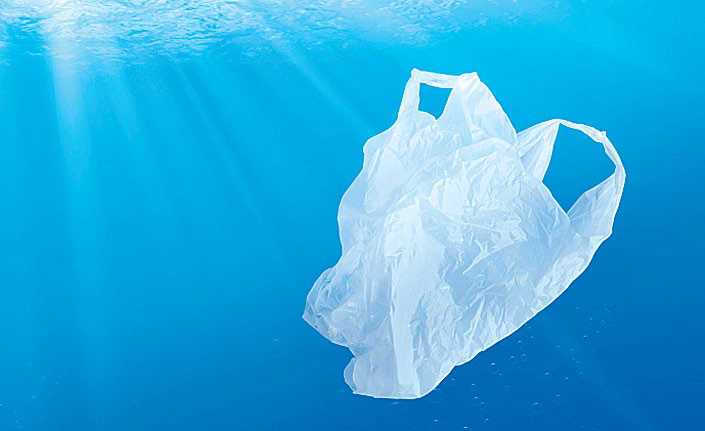 Ditch Plastic in July!