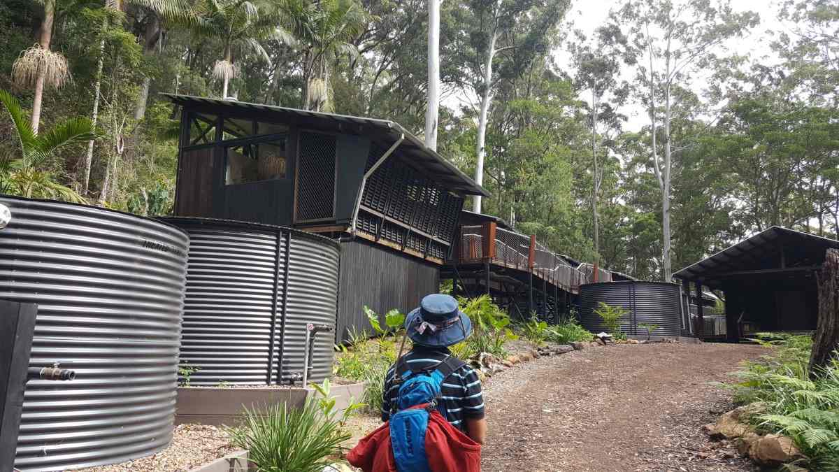 Holiday cabins installed by a private company, at the Goomburra Section of Main Range National Park - image Tony Reeves 