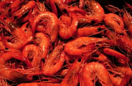 Thank you for helping keep our local prawns and waterways safe