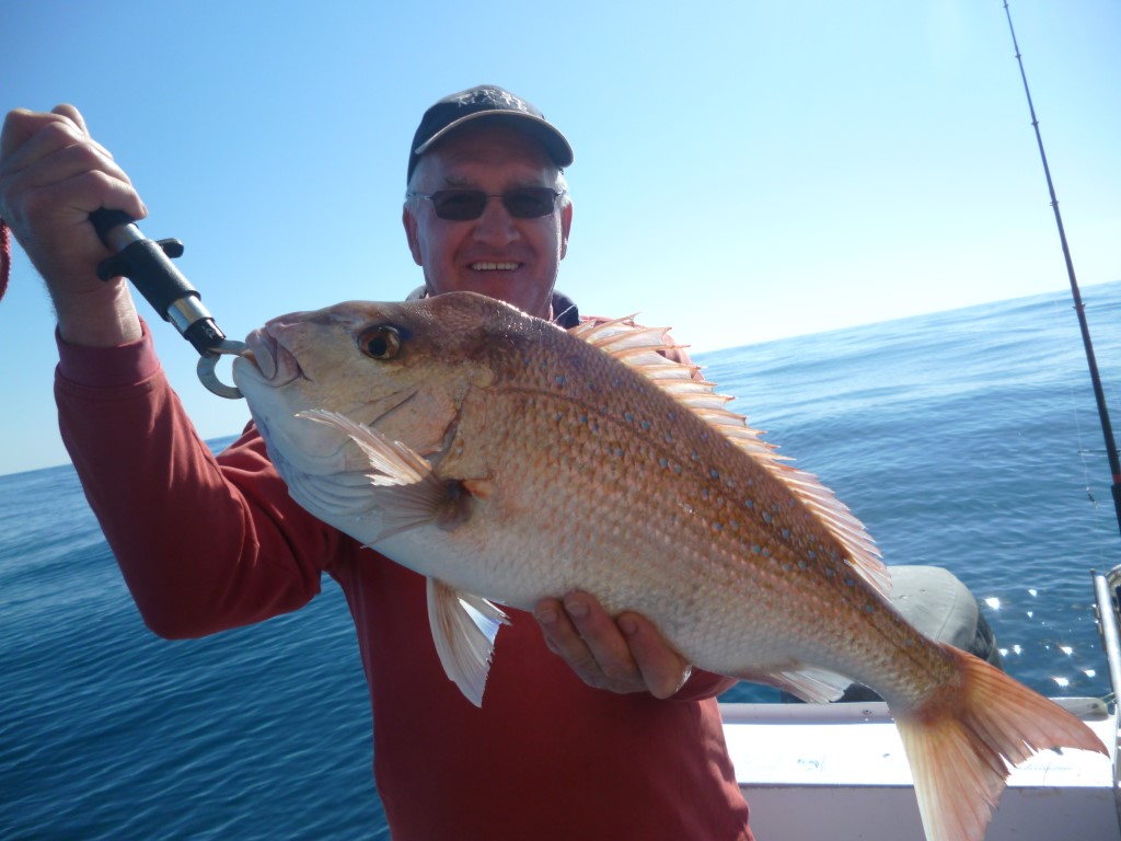 Greg with a quality Snapper. He and a group of old footy team mates from Victoria came up for the week and took home three big foam boxes of frozen fillets.