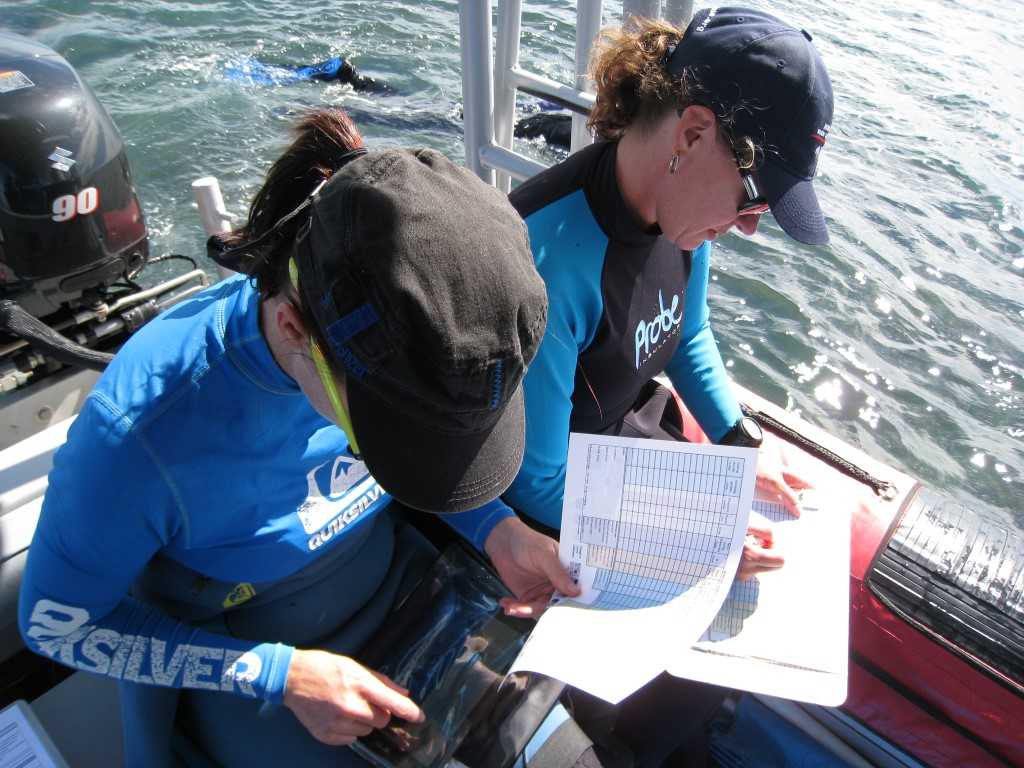 reef-check-sept-16-1