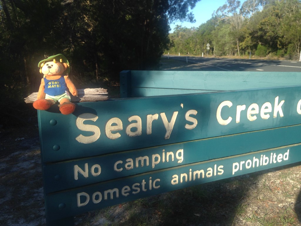 Introducing Aussie Bear - you can see why he is called Aussie - read all about his adventures