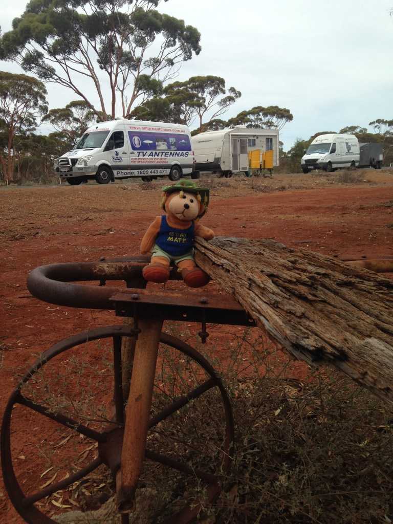 Aussie Bear's last visit to Widgiemooltha in WA