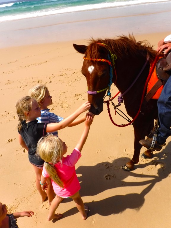 Consider a horse ride on the beach for the holidays