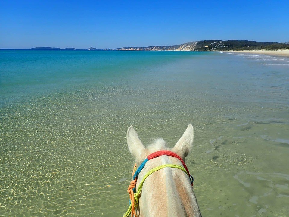 Take a horse ride on the beach or in the bush while on holidays - bucket list, tick!