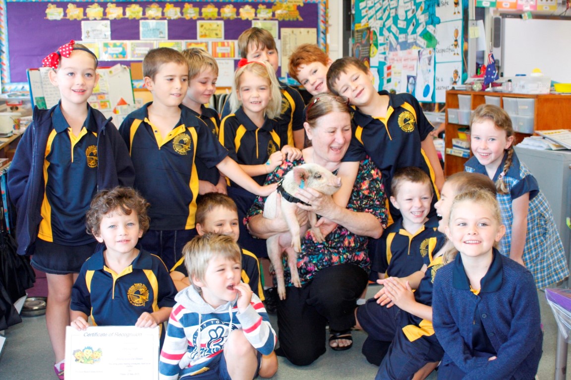 Penelope the Pig visited lots of schools in the lead up to Pig Day Out including Mrs Chamberlaine and Prep/1s