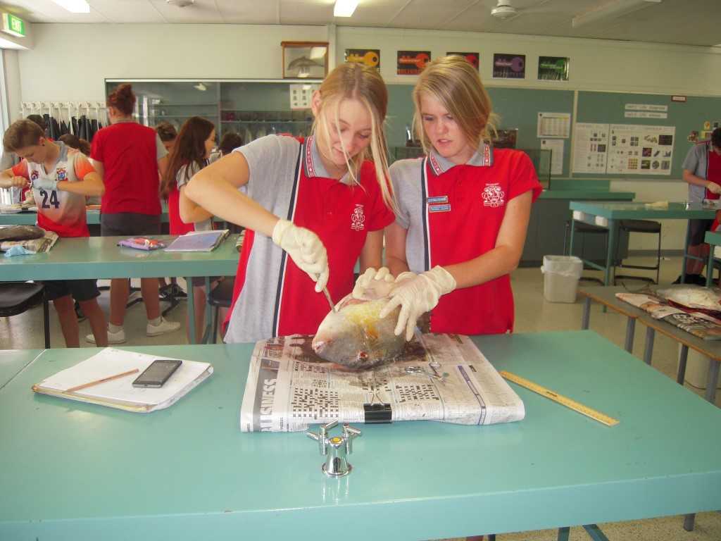Arwen Goodwin-Van de Vorst and Kyani Parton learning to learn about Fish Physiology and Anatomy
