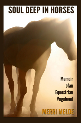 Soul deep in horses memoir of an equestrian vagabond