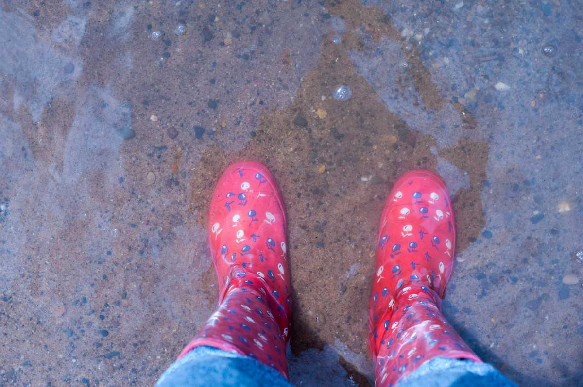 Staying healthy after storms