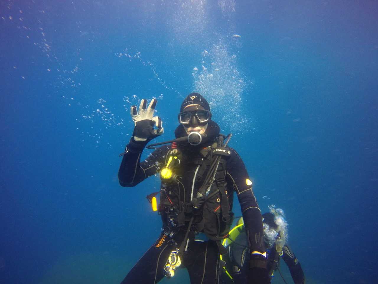 Dive into April