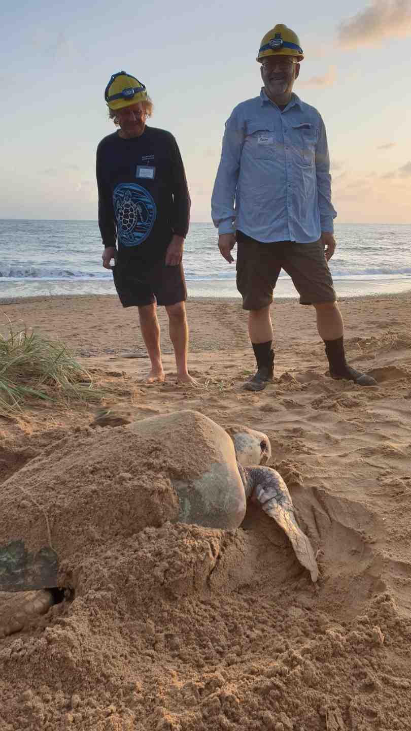 Cooloola Coastcare’s TurtleCare group is very keen for public help - here are Murray Sambell and Randy Orwin at turtle training