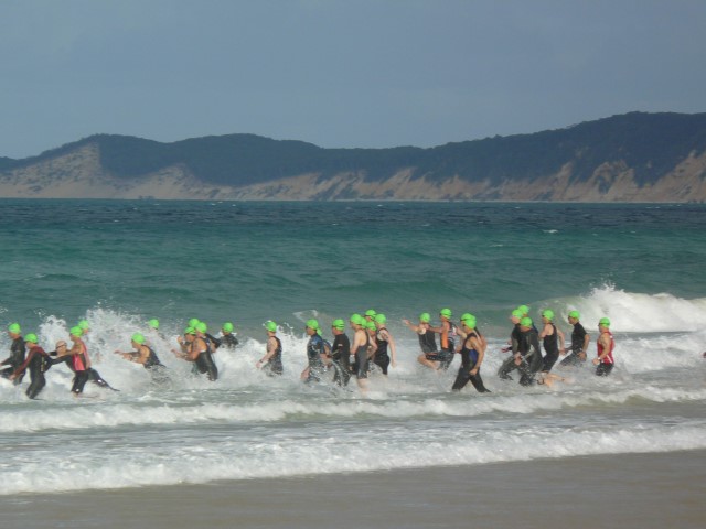 visitor guide  12 events (Small)